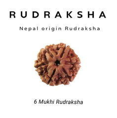 6 Mukhi Rudraksha β For Confidence, Willpower & Focus