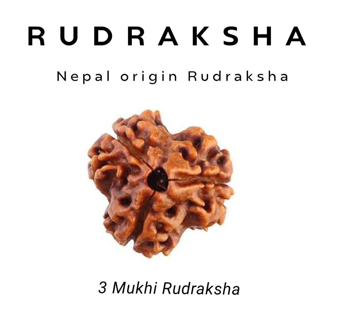 3 Mukhi Rudraksha – Burn the Past, Embrace Freedom