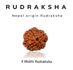 4 Mukhi Rudraksha – Ignite Intellect, Inspire Communication